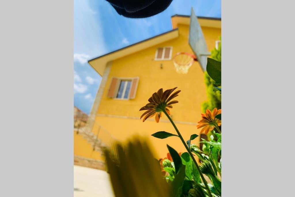 Flowery House Miglianico Eksteriør bilde